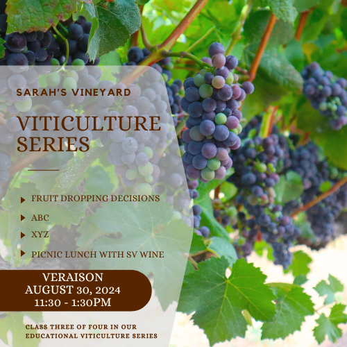 Viticulture Series #3: Veraison MEMBER