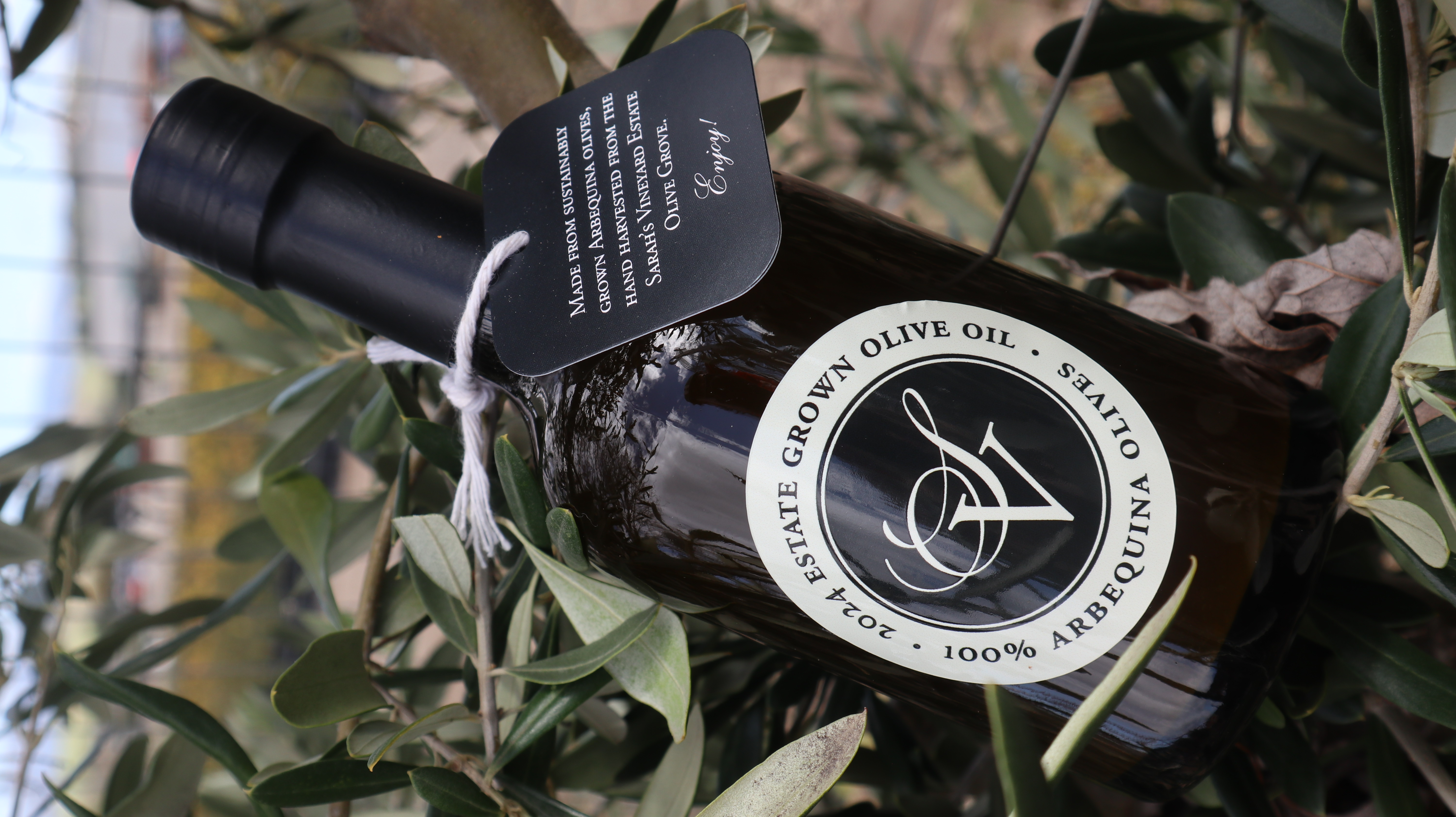 2025 Estate Grown Arbequina Olive Oil Photo