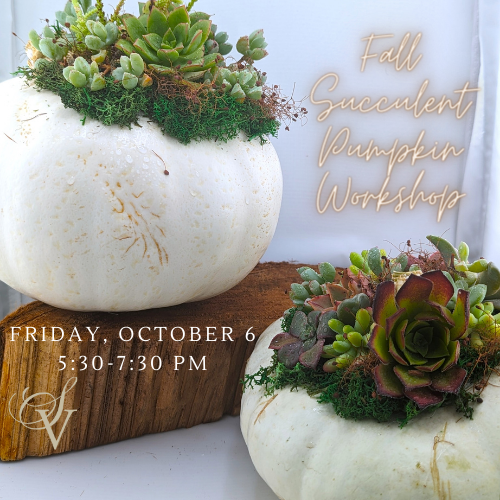 Fall Succulent Pumpkin Workshop - Member