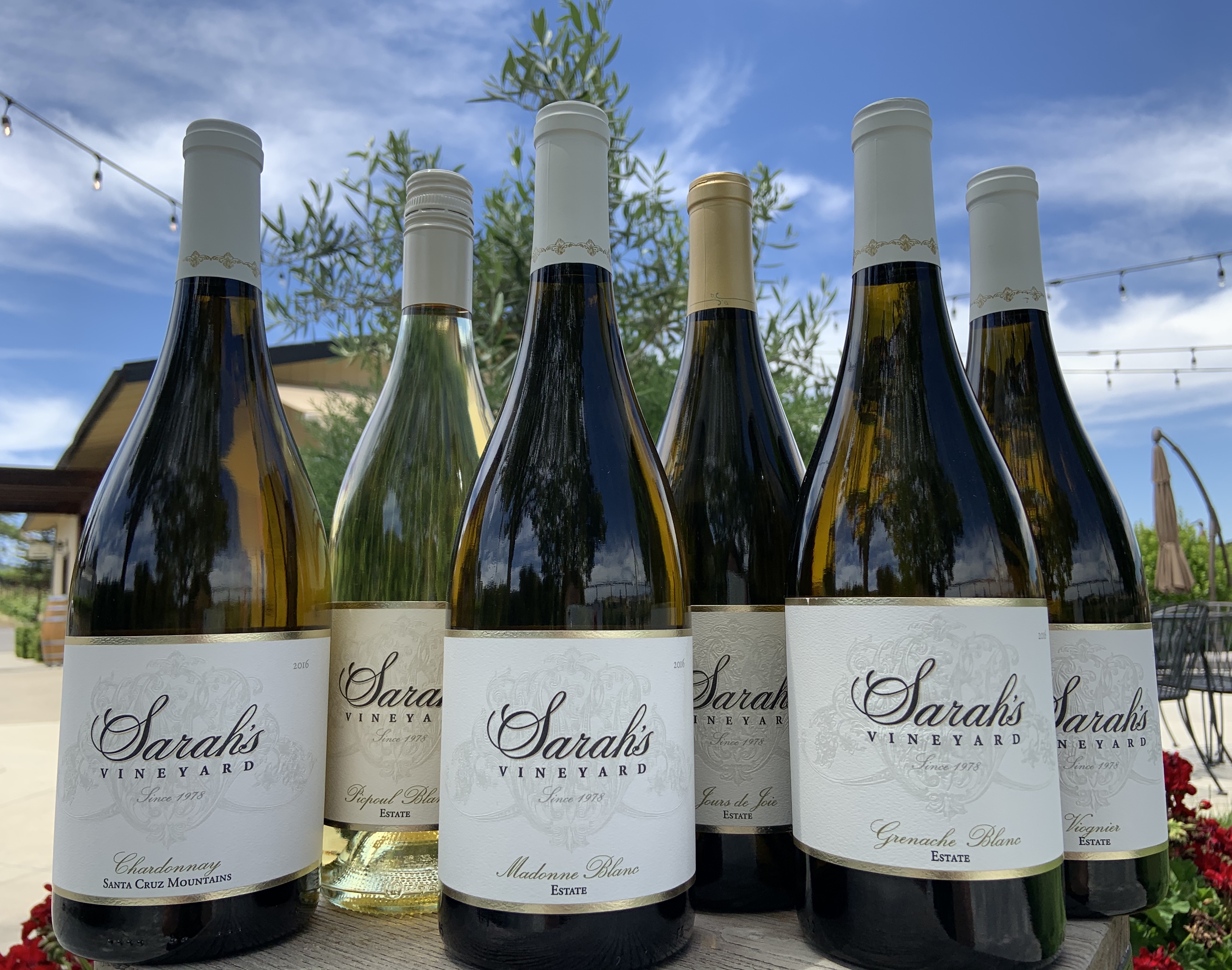 Summer White Wine Case MEMBER