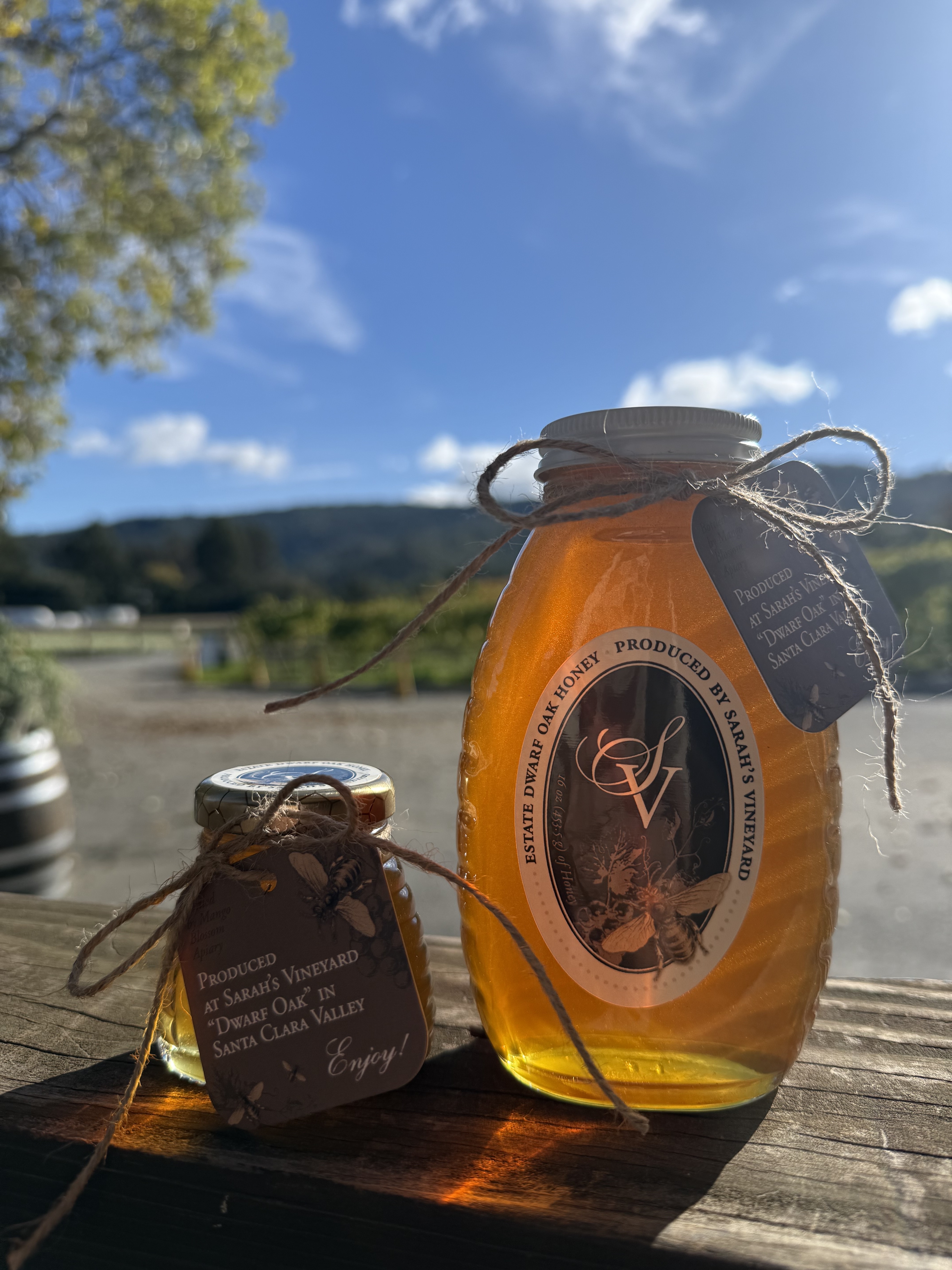 2025 Dwarf Oak Honey 3oz Photo