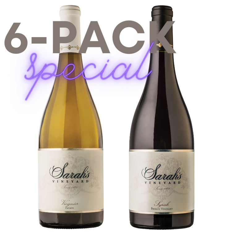 2018 Madonne Blanc Case Member