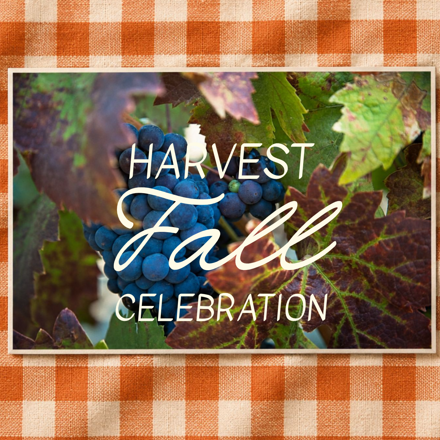 Saturday Nov 7 2026 Fall Celebration General Zinfanatic Ticket Photo
