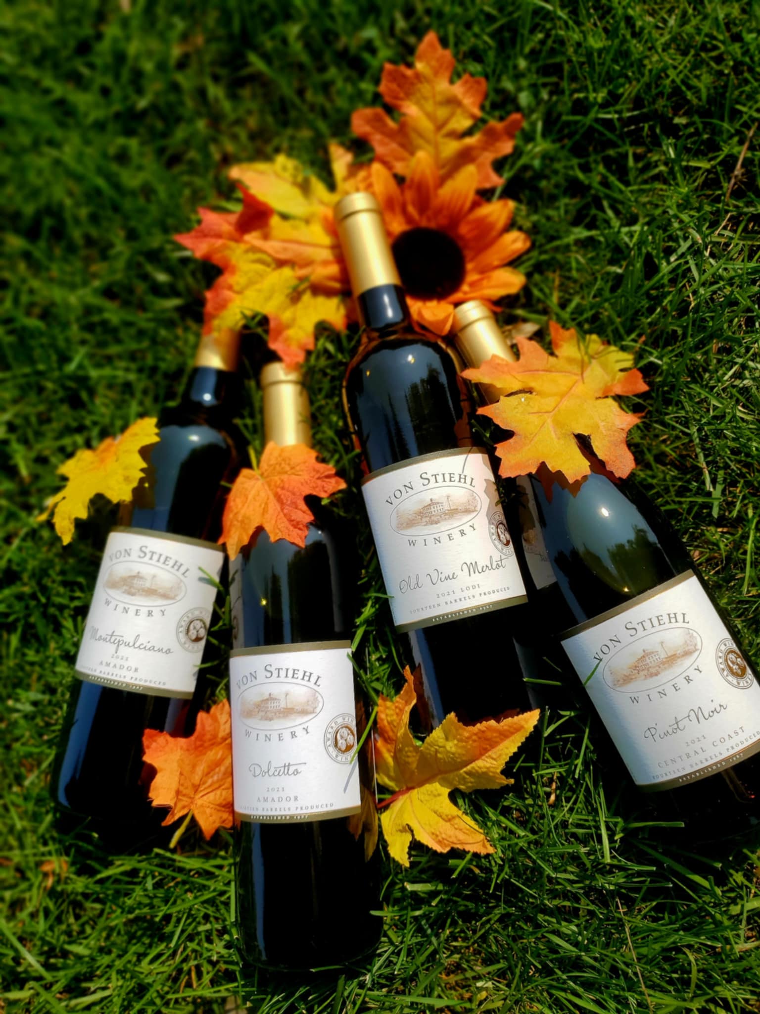 Fall-ing For Reds Bundle