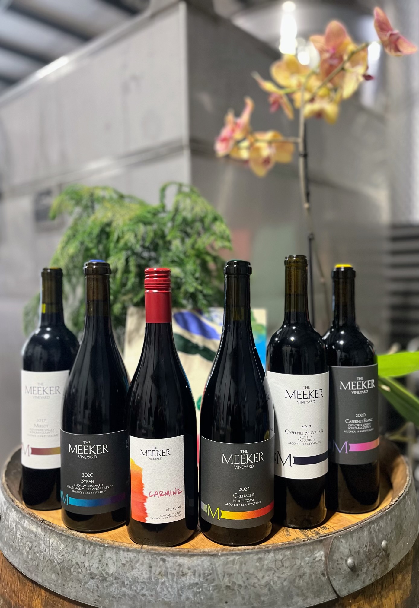 2024 Thanksgiving Tool Kit - 6 Pack