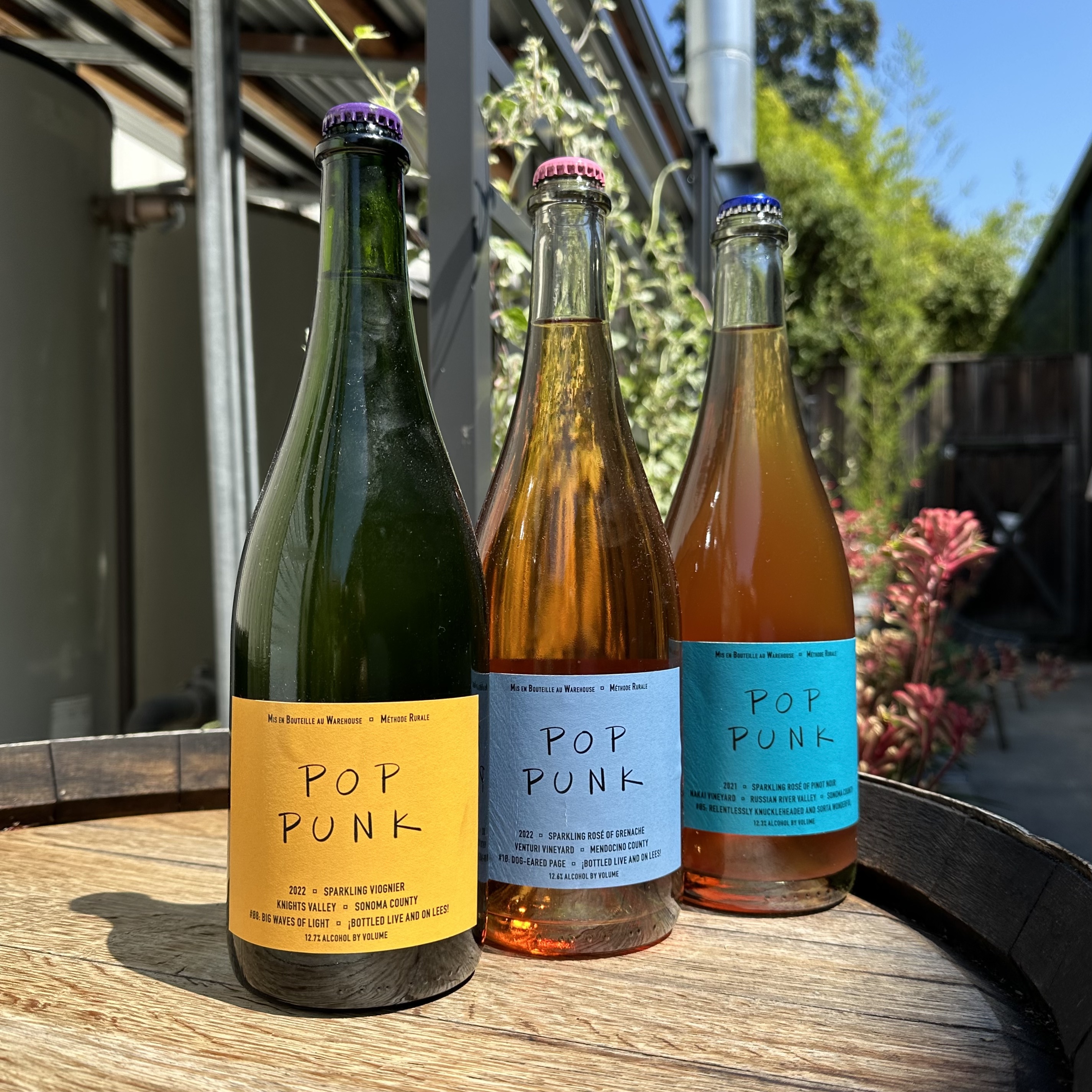 Pop Punk 2023 August 3-Pack