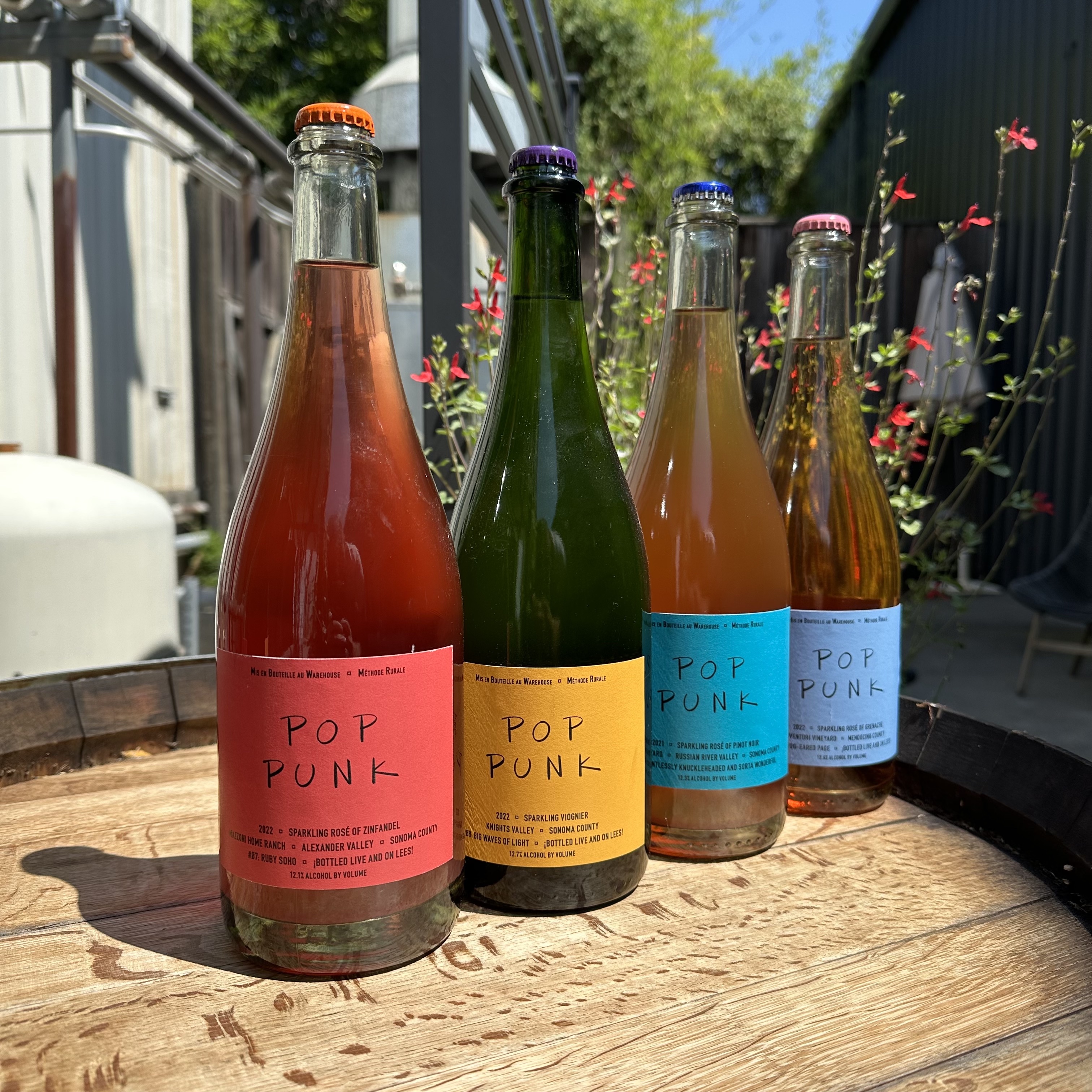 Pop Punk 2023 August 6-Pack