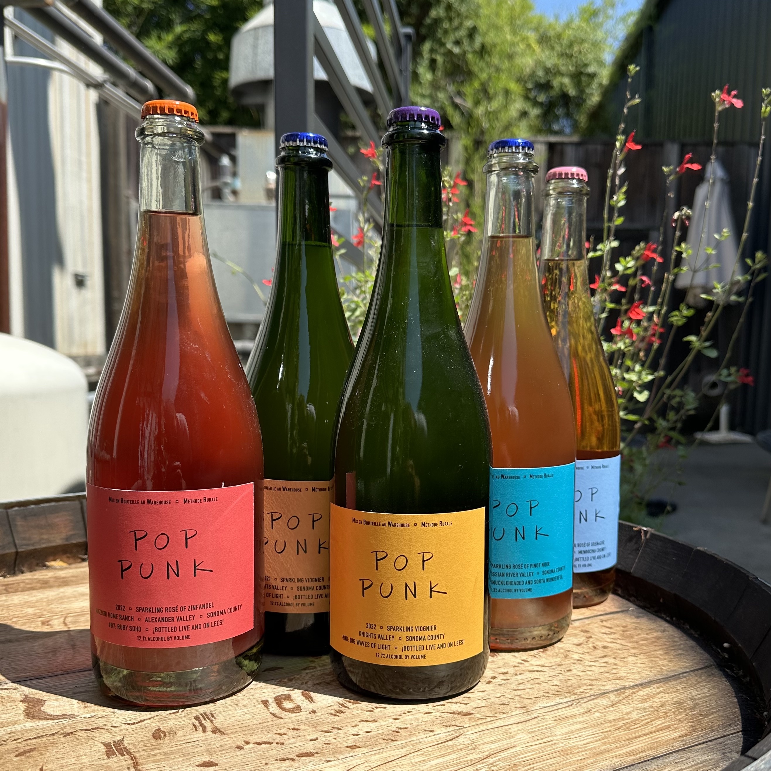 Pop Punk 2023 August 12-Pack