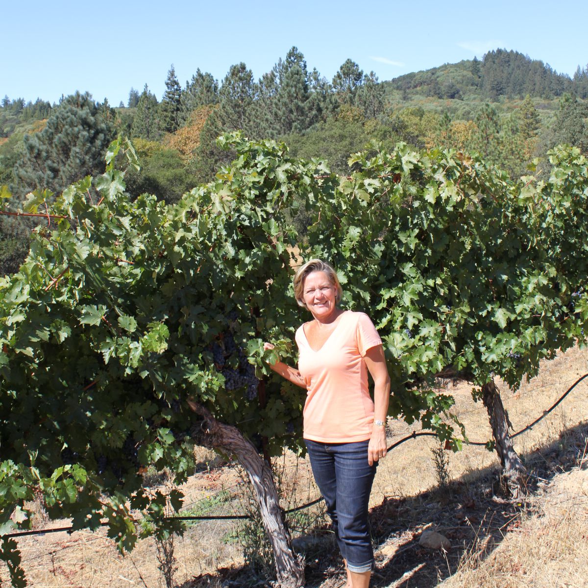 Tasting Room Activities