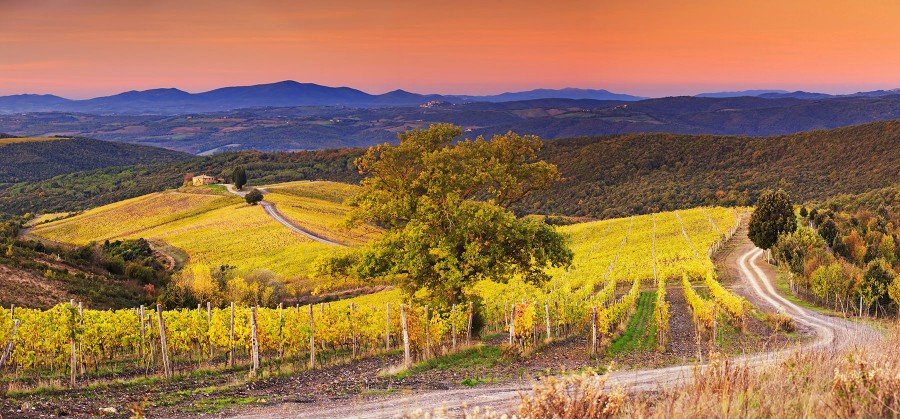 Castiglion Del Bosco Photo