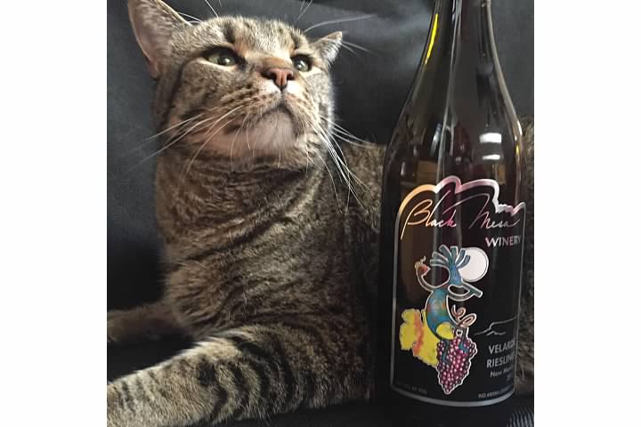 Two Bottle Mix or Match Minimum for ALL Shipments