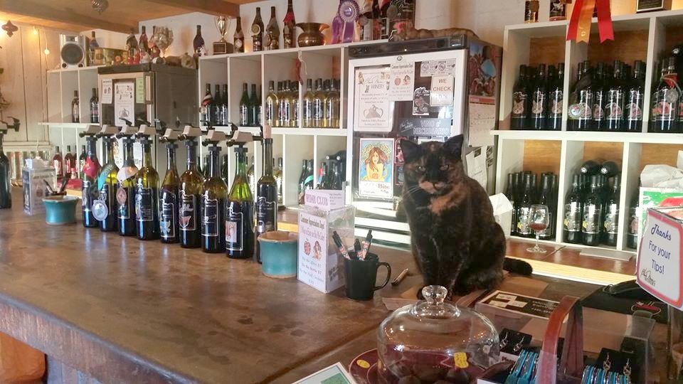 Two Bottle Mix or Match Minimum for ALL Shipments Photo