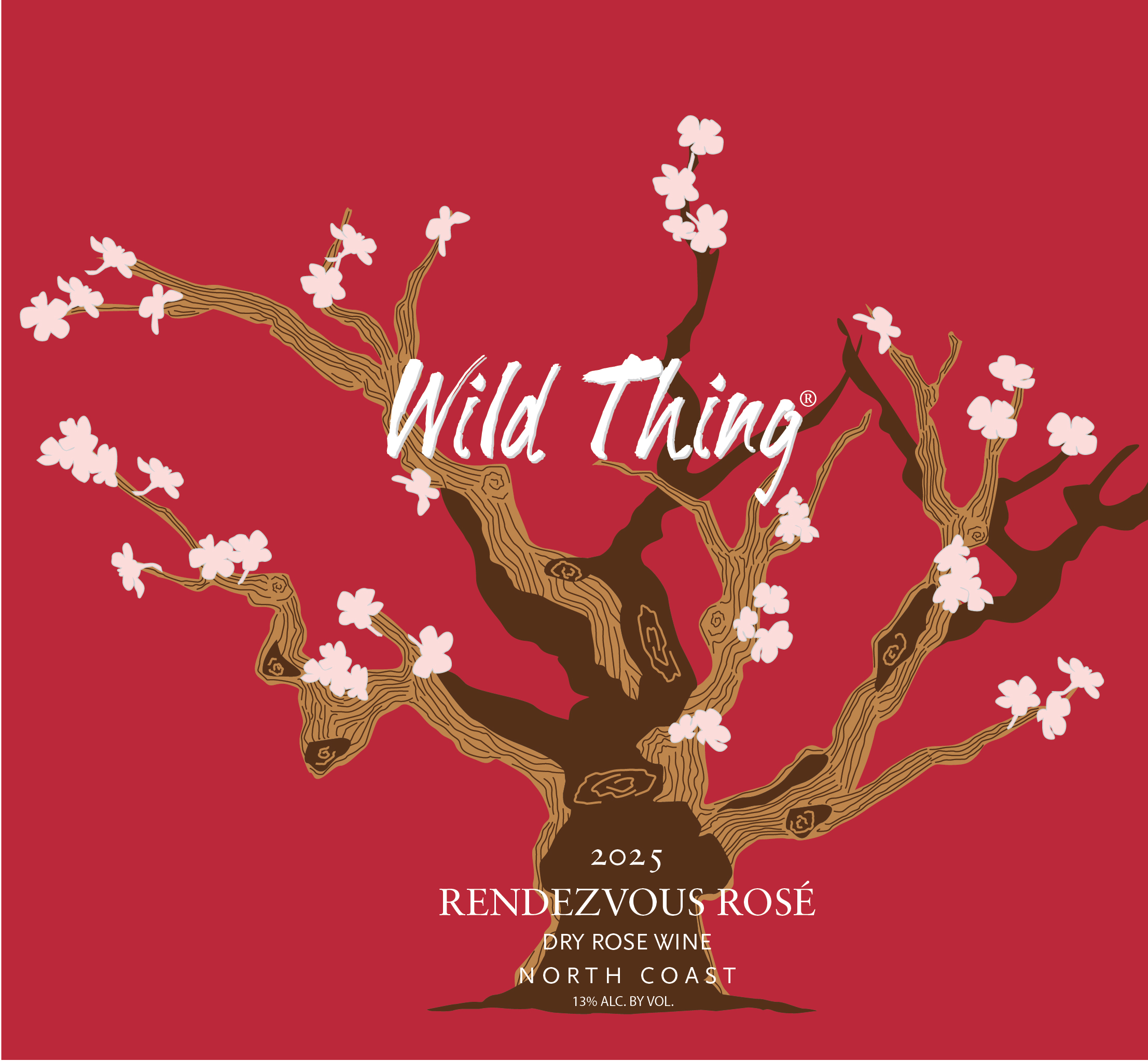 Rendezvous Rose 2025 Photo