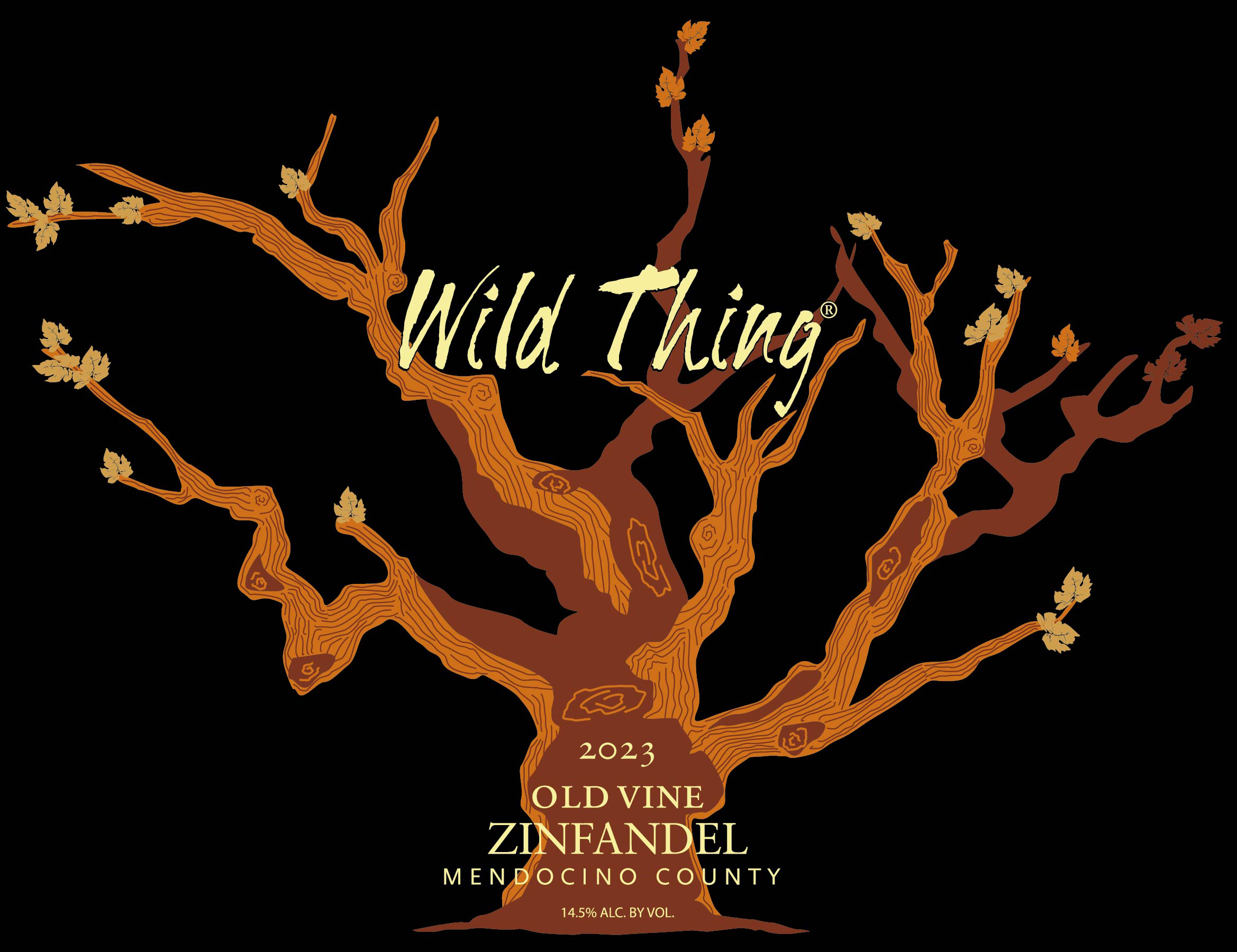 Wild Thing Zin 2023 (375's) Photo