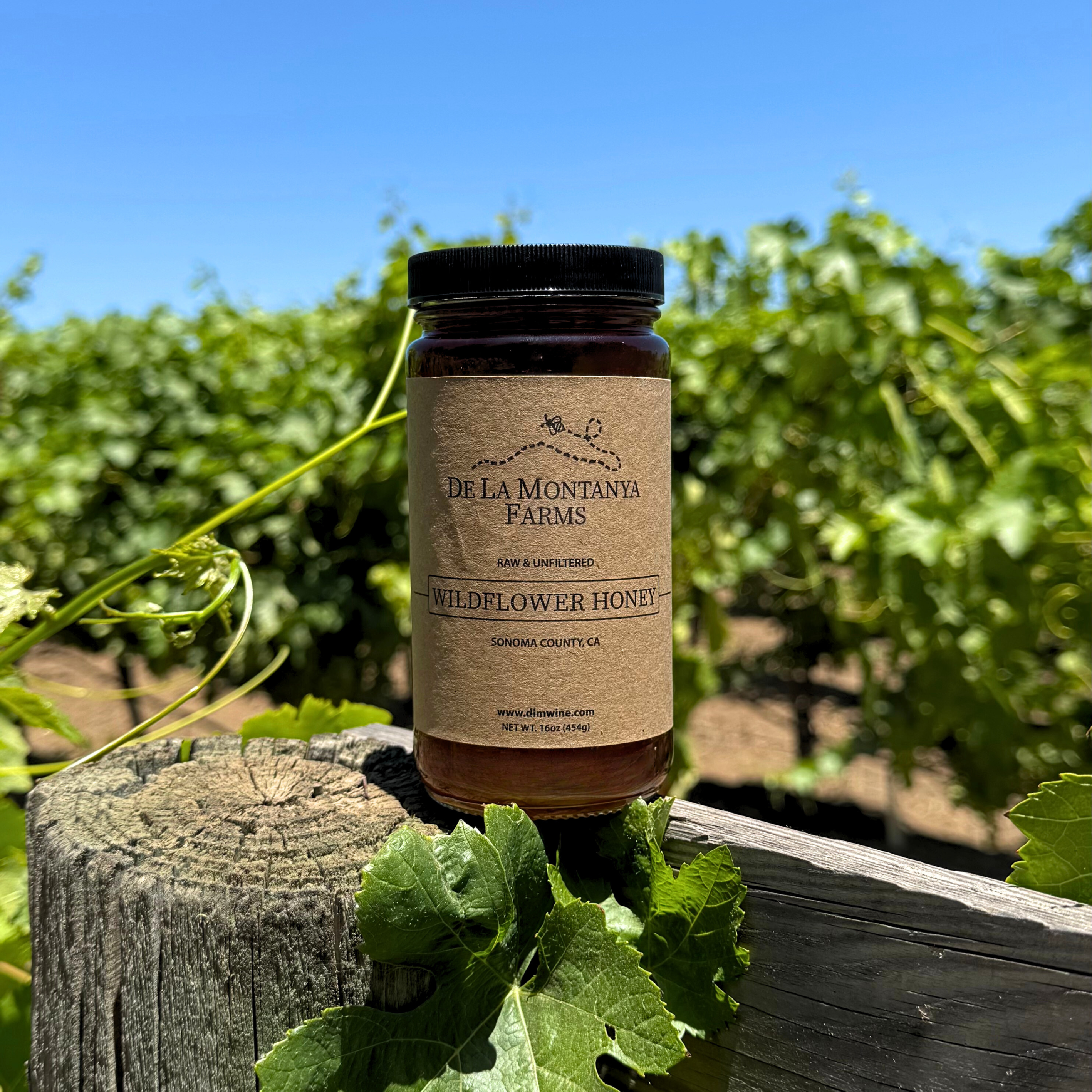 DLM Raw & Unfiltered Wildflower Honey Photo