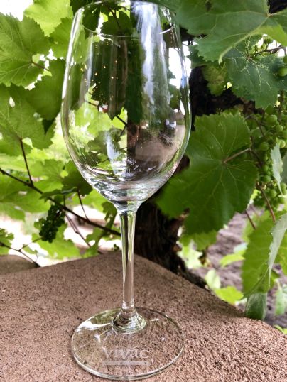 Vivac logo Riedel Wine Glass Photo