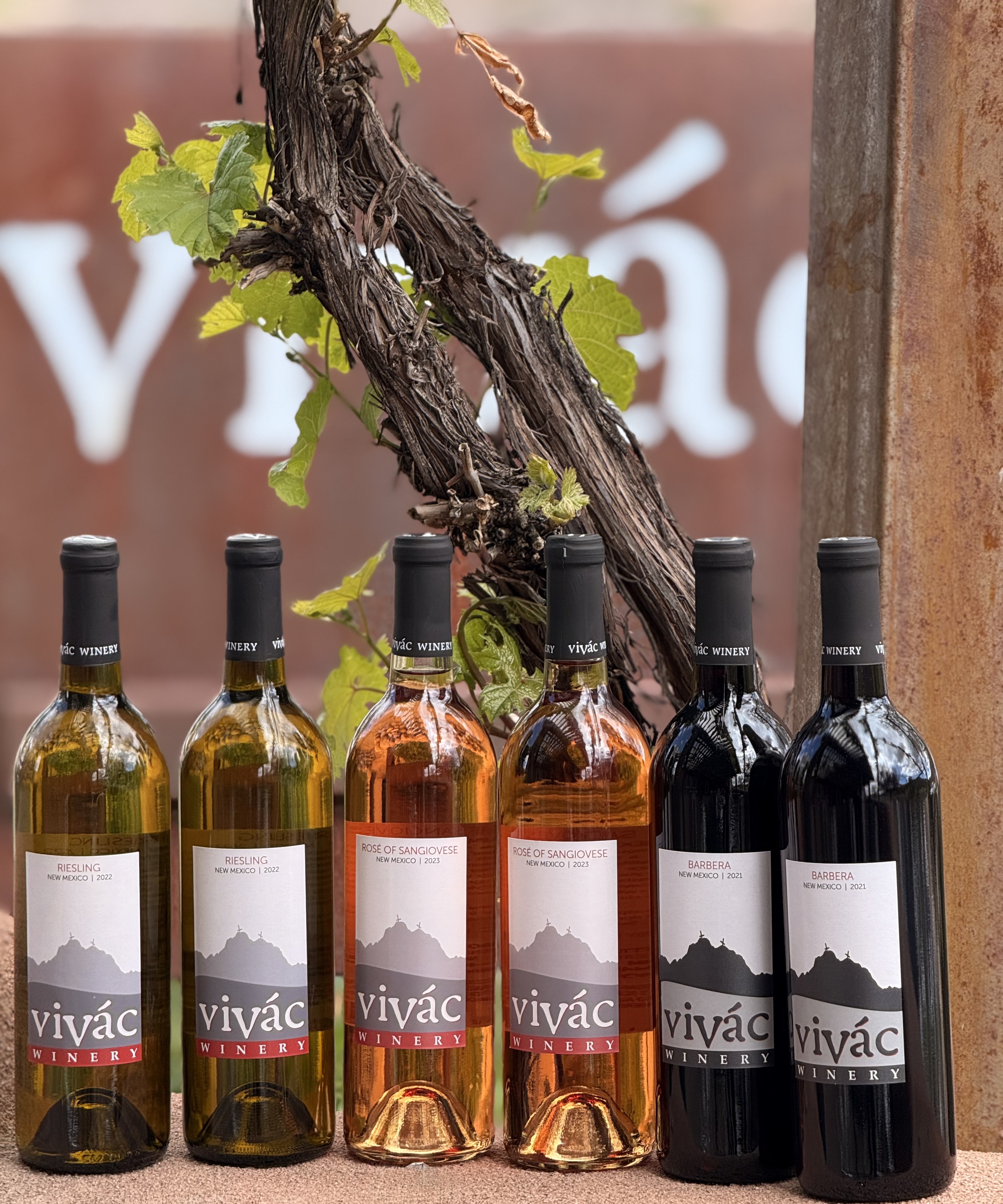 NM True Summer Sensation Selections Photo