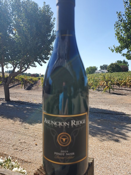 2019 Barrel Select Pinot Photo