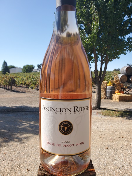 2023 Rose of Pinot Noir Photo