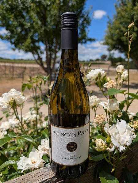 2023 Chardonnay Photo