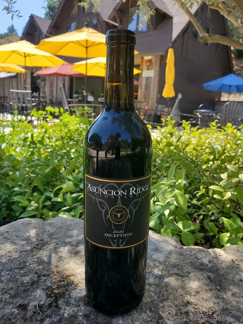 2020 Inception Photo