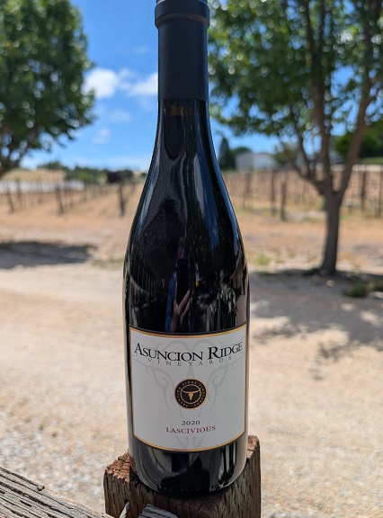 2020 Lascivious Photo