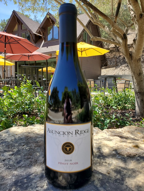 2019 Pinot Noir Photo
